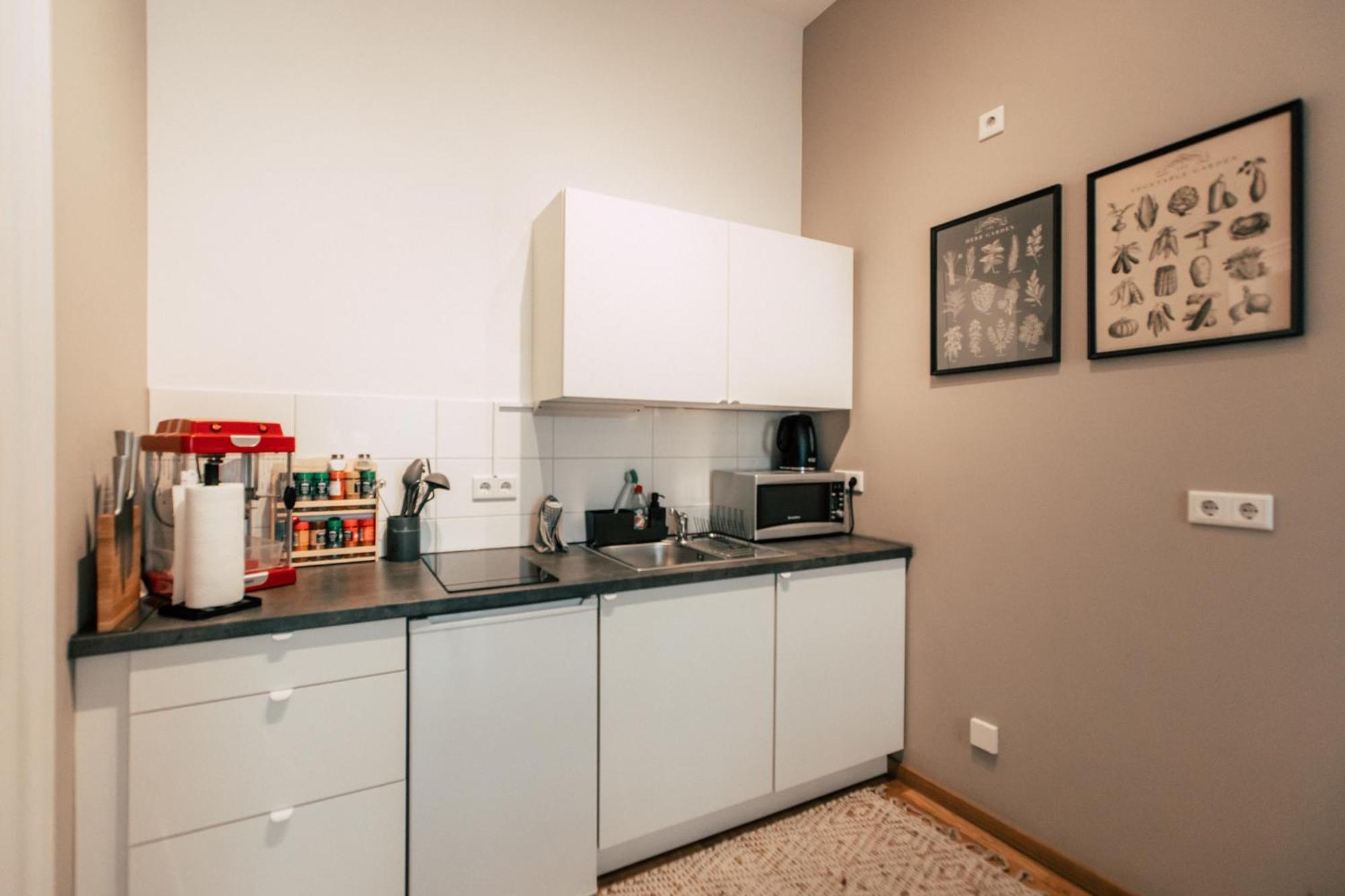 Large Two-Bedroom Apartment "Big Boho"